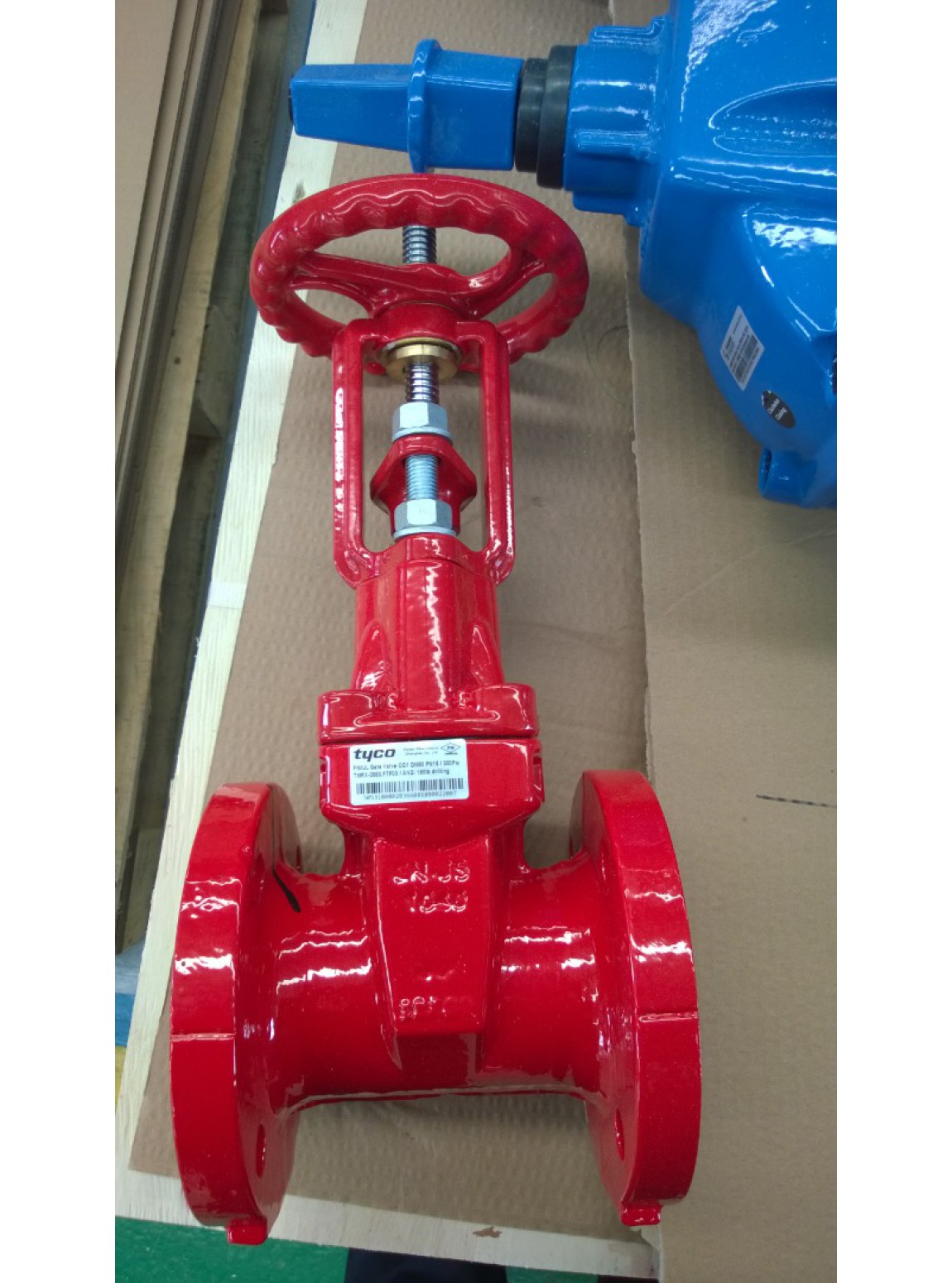 ประตูน้ำ Gate Valve tyco