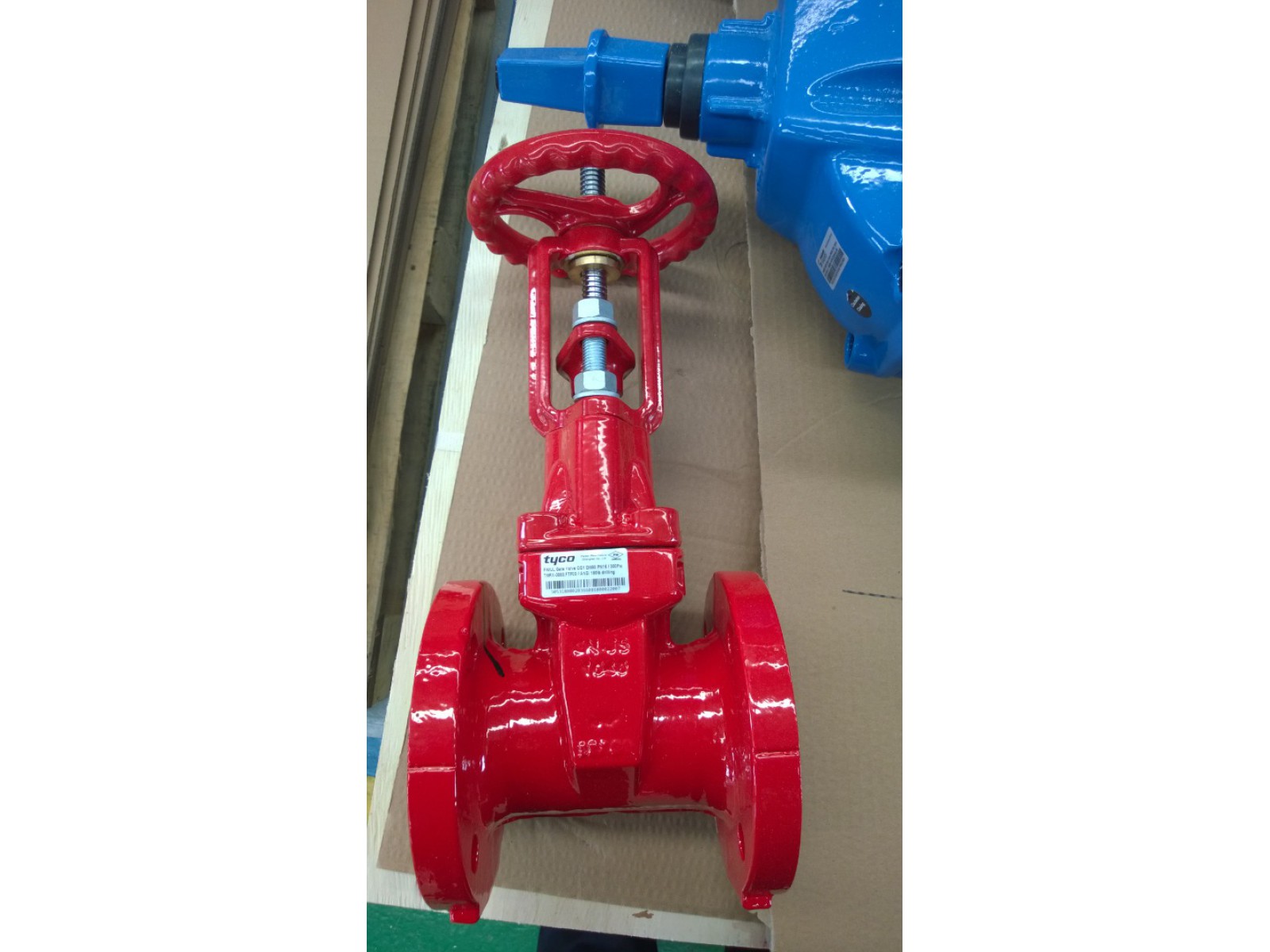 ประตูน้ำ Gate Valve tyco