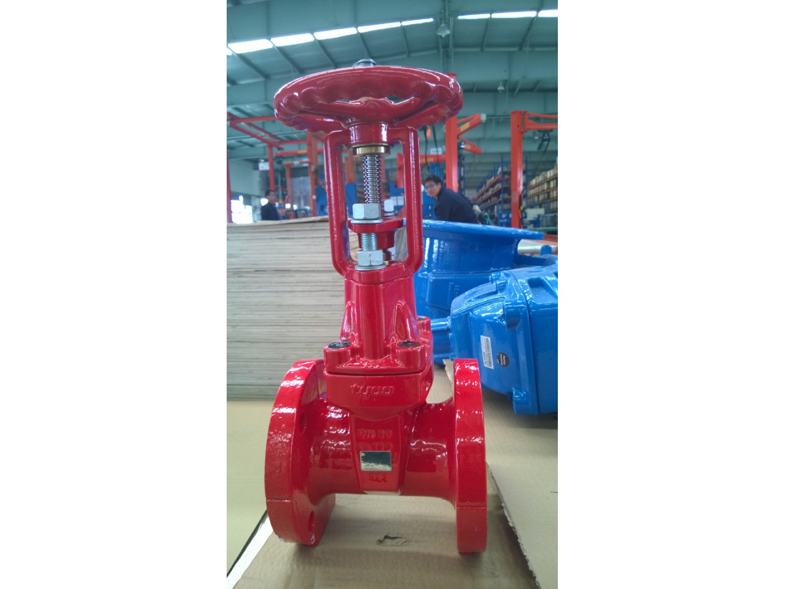 ประตูน้ำ เกทวาล์ว 8" Tyco