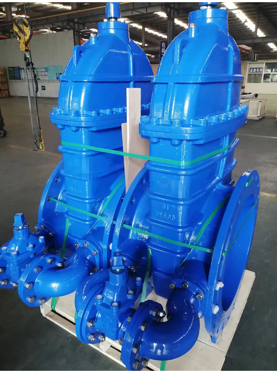 ประตูน้ำก้านยก Gate Valve