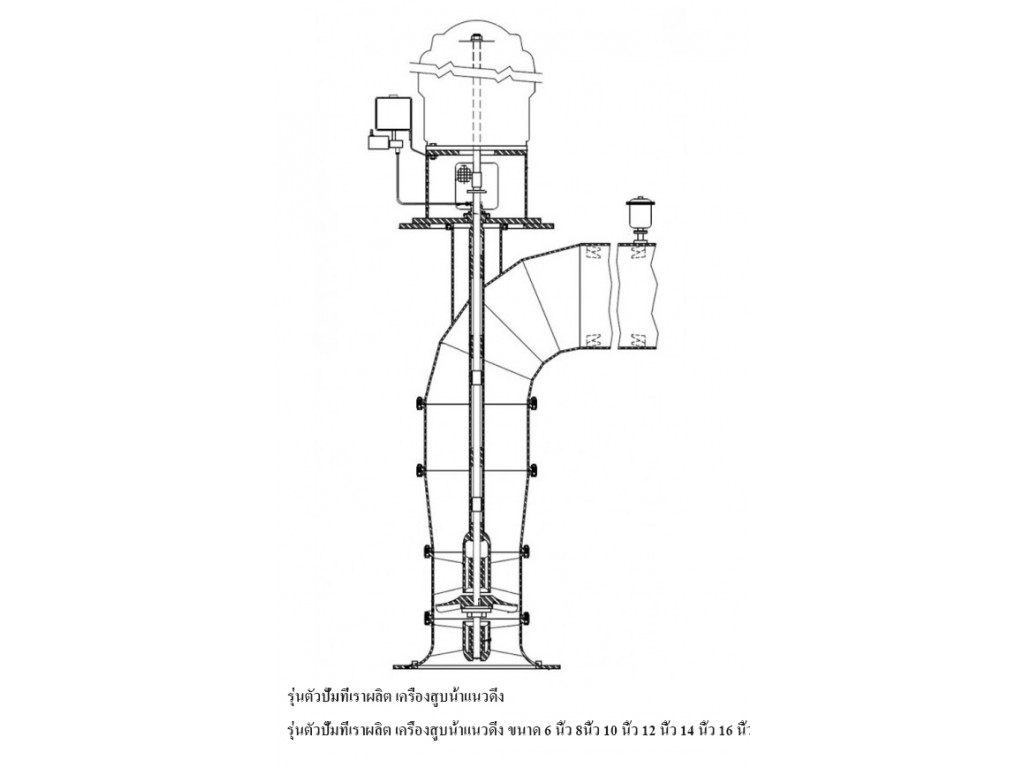 ปั๊มพลาสติก PP แนวตั้ง รุ่น DT-100VK-10