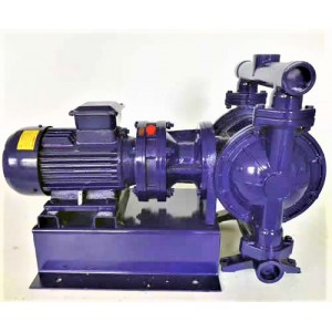 Electric Diaphragm Pump SKD-100