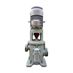 Vertical Screw Pump 3GCL110*2