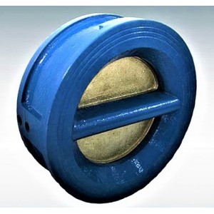 Rubber-coated check valve