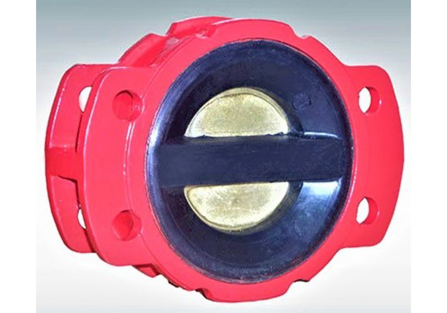 Wafer Type check valve