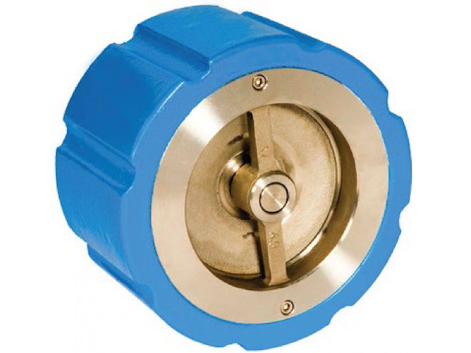 6 นิ้ว เช็ควาล์ว Silent check valve