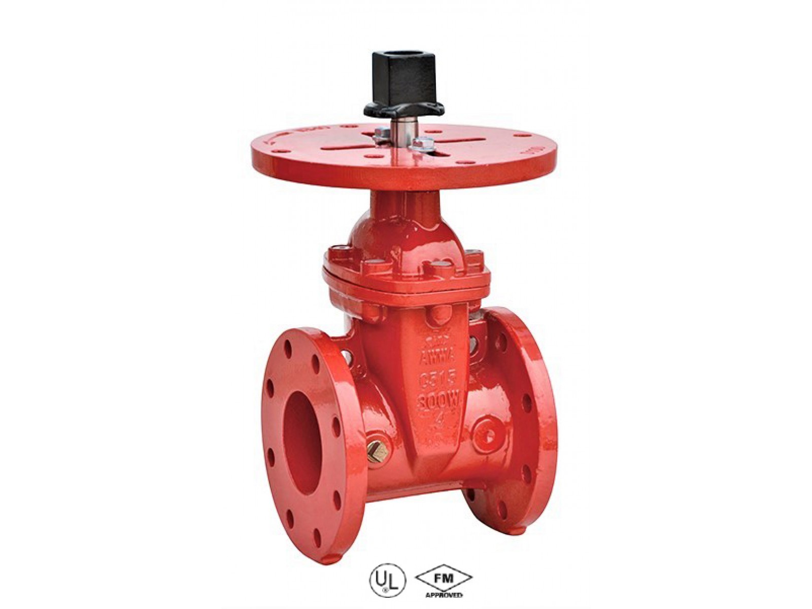 วาล์วประตู NRS พร้อมหน้าแปลน V17-100