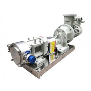 Daily Chemicals Transfer Pump 3RP-50