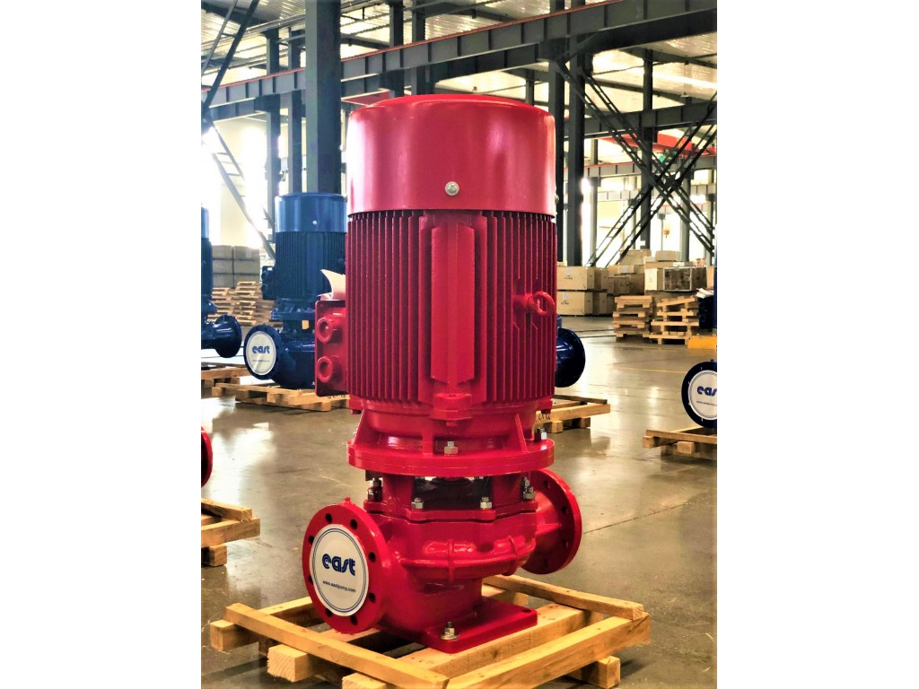 Vertical Inline Pump DFW 